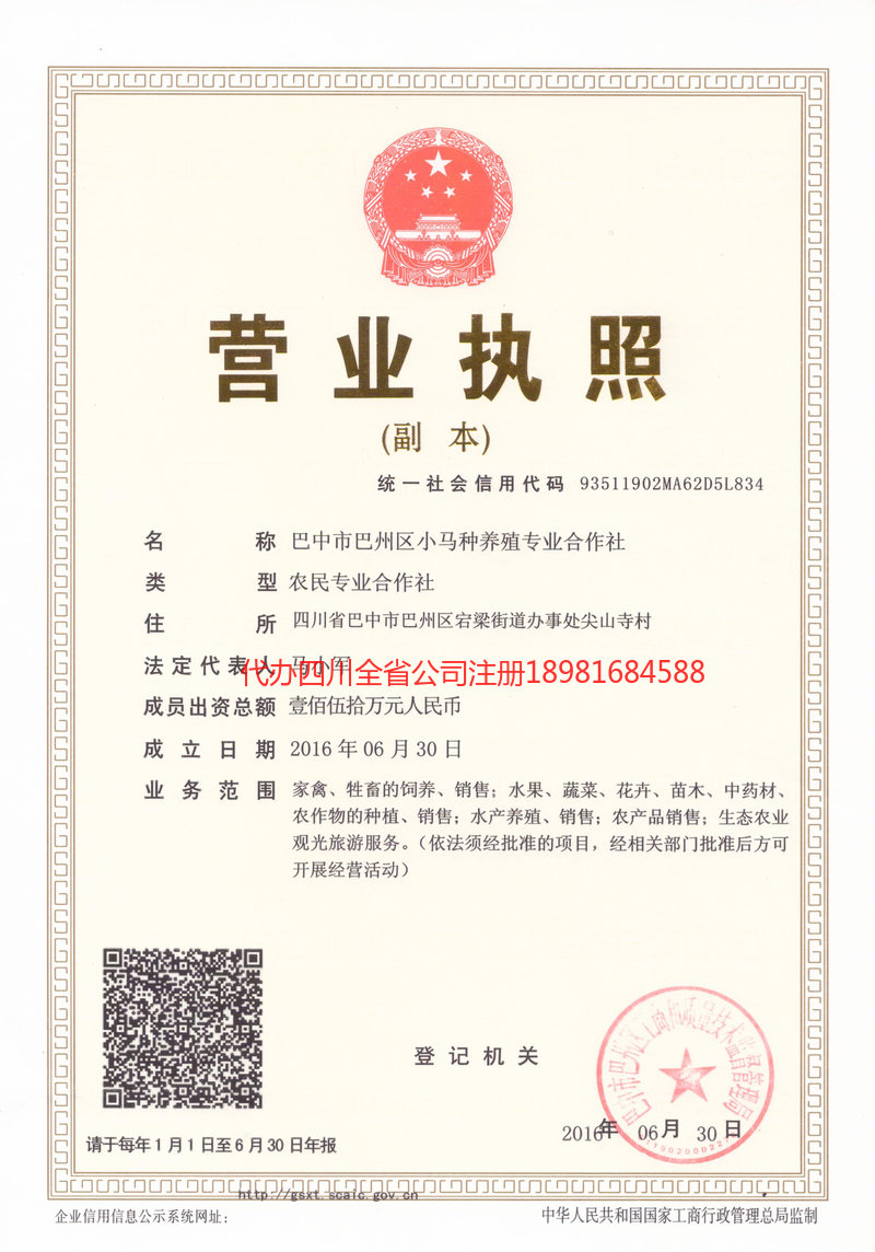 毕节毕节小马种养殖专业合作社